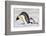 Antarctica, Snow Hill. A young chick trudges behind an adult emperor penguin.-Ellen Goff-Framed Photographic Print