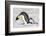 Antarctica, Snow Hill. A young chick trudges behind an adult emperor penguin.-Ellen Goff-Framed Photographic Print