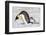 Antarctica, Snow Hill. A young chick trudges behind an adult emperor penguin.-Ellen Goff-Framed Photographic Print