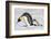 Antarctica, Snow Hill. A young chick trudges behind an adult emperor penguin.-Ellen Goff-Framed Photographic Print