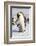 Antarctica, Snow Hill. An emperor penguin chick interacts with its parent, hoping to get fed.-Ellen Goff-Framed Photographic Print