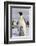 Antarctica, Snow Hill. An emperor penguin chick interacts with its parent, hoping to get fed.-Ellen Goff-Framed Photographic Print