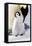 Antarctica, Snow Hill. An emperor penguin chick is tended to by its parent.-Ellen Goff-Framed Premier Image Canvas