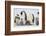 Antarctica, Snow Hill. Chicks stand near the adults in the colony.-Ellen Goff-Framed Photographic Print