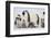 Antarctica, Snow Hill. Chicks stand near the adults in the colony.-Ellen Goff-Framed Photographic Print