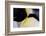 Antarctica, Snow Hill. Headshot of an emperor penguin adult showing the beautiful coloration.-Ellen Goff-Framed Photographic Print