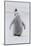 Antarctica, Snow Hill. Portrait of a penguin chick.-Ellen Goff-Mounted Photographic Print