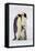 Antarctica, Snow Hill. Two adult emperor penguins stand by their chick.-Ellen Goff-Framed Premier Image Canvas