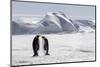 Antarctica, Snow Hill. Two emperor penguins stand together in the icy landscape.-Ellen Goff-Mounted Photographic Print