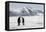 Antarctica, Snow Hill. Two emperor penguins stand together in the icy landscape.-Ellen Goff-Framed Premier Image Canvas