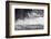 Antarctica, South Atlantic. Cormorant Flying over Frothing Sea-Bill Young-Framed Photographic Print