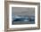 Antarctica. South of the Antarctic Circle. Iceberg-Inger Hogstrom-Framed Photographic Print