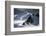 Antarctica, South Orkney Islands. Mountain and Glacier Landscape-Bill Young-Framed Photographic Print