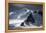 Antarctica, South Orkney Islands. Mountain and Glacier Landscape-Bill Young-Framed Premier Image Canvas