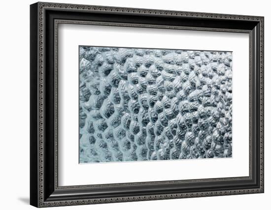 Antarctica, Southern Ocean, South Orkney Islands. Ice detail.-Cindy Miller Hopkins-Framed Photographic Print