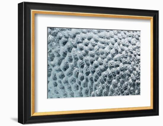 Antarctica, Southern Ocean, South Orkney Islands. Ice detail.-Cindy Miller Hopkins-Framed Photographic Print