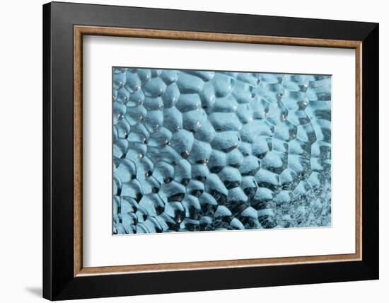 Antarctica, Southern Ocean, South Orkney Islands. Ice detail.-Cindy Miller Hopkins-Framed Photographic Print