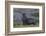 Antarctica, St. George Island. Fur seal close-up and thousands of king penguins in background.-Jaynes Gallery-Framed Photographic Print