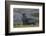 Antarctica, St. George Island. Fur seal close-up and thousands of king penguins in background.-Jaynes Gallery-Framed Photographic Print