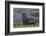 Antarctica, St. George Island. Fur seal close-up and thousands of king penguins in background.-Jaynes Gallery-Framed Photographic Print