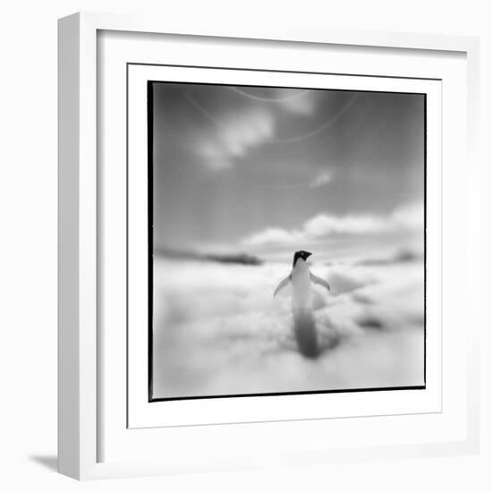 Antarctica, Torgerson Island, Adelie Penguin standing on snow.-Paul Souders-Framed Photographic Print