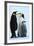 Antarctica Weddel Sea Atka Bay Emperor Penguin Family-Nosnibor137-Framed Photographic Print