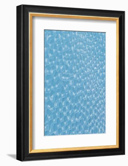 Antarctica, Weddell Sea. Ice detail.-Cindy Miller Hopkins-Framed Photographic Print