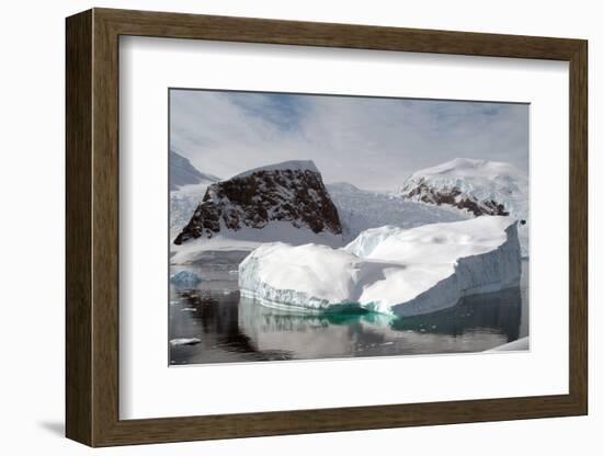 Antarctica-Natalie Tepper-Framed Photo