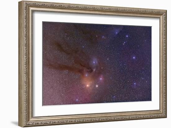 Antares and Scorpius Head Area with Rho Ophiuchi Nebulosity-null-Framed Photographic Print