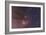 Antares and Scorpius Head Area with Rho Ophiuchi Nebulosity-null-Framed Photographic Print