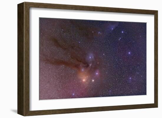 Antares and Scorpius Head Area with Rho Ophiuchi Nebulosity-null-Framed Photographic Print