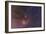 Antares and Scorpius Head Area with Rho Ophiuchi Nebulosity-null-Framed Photographic Print