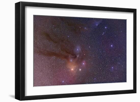 Antares and Scorpius Head Area with Rho Ophiuchi Nebulosity-null-Framed Photographic Print