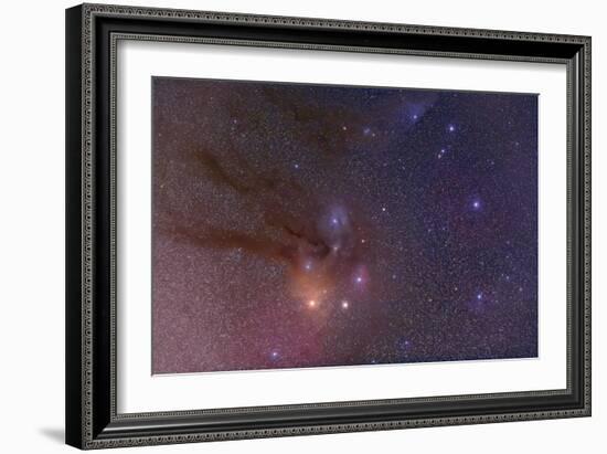 Antares and Scorpius Head Area with Rho Ophiuchi Nebulosity-null-Framed Photographic Print