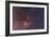 Antares and Scorpius Head Area with Rho Ophiuchi Nebulosity-null-Framed Photographic Print