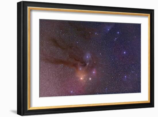 Antares and Scorpius Head Area with Rho Ophiuchi Nebulosity-null-Framed Photographic Print