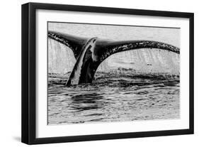 Antartica-Art Wolfe-Framed Photographic Print