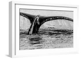 Antartica-Art Wolfe-Framed Photographic Print