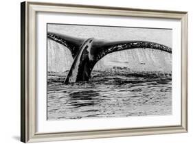 Antartica-Art Wolfe-Framed Photographic Print