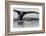 Antartica-Art Wolfe-Framed Photographic Print