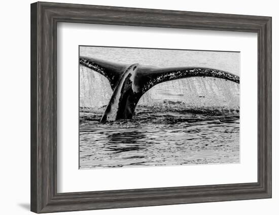 Antartica-Art Wolfe-Framed Photographic Print