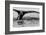 Antartica-Art Wolfe-Framed Photographic Print