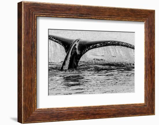 Antartica-Art Wolfe-Framed Photographic Print