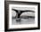 Antartica-Art Wolfe-Framed Photographic Print