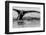 Antartica-Art Wolfe-Framed Photographic Print
