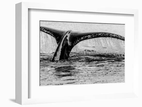 Antartica-Art Wolfe-Framed Photographic Print