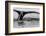 Antartica-Art Wolfe-Framed Photographic Print