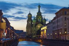 Church of the Savior on Spilled Blood. St. Petersburg, Russia-Antartis-Photographic Print