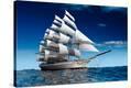 Stretched Canvas Print