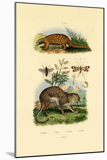 Anteater, 1833-39-null-Mounted Giclee Print